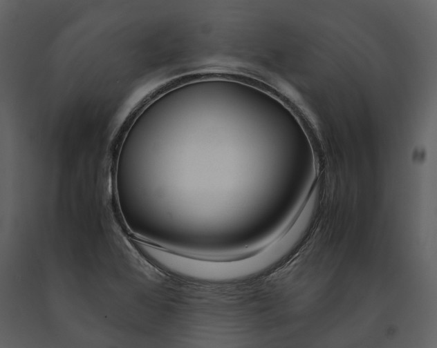 X0000090961368200708241143