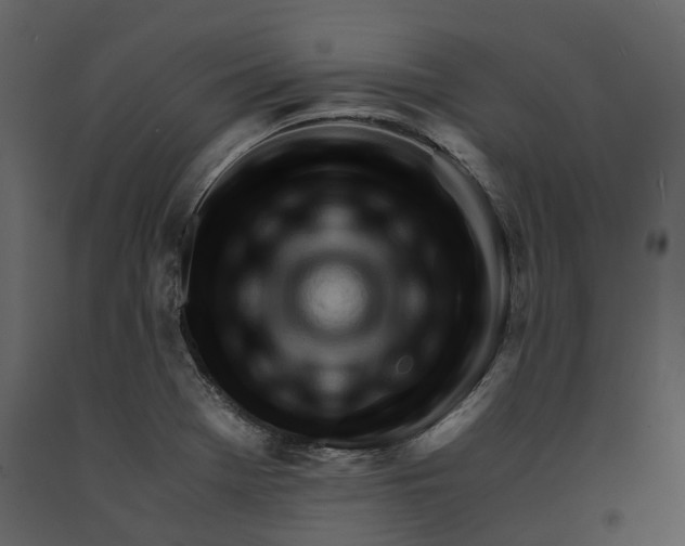 X0000090961369200708241143