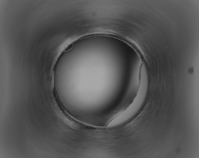 X0000090961371200708241143