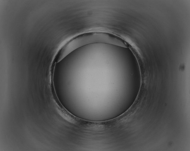 X0000090961372200708241143