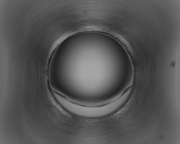 X0000090961373200708241143