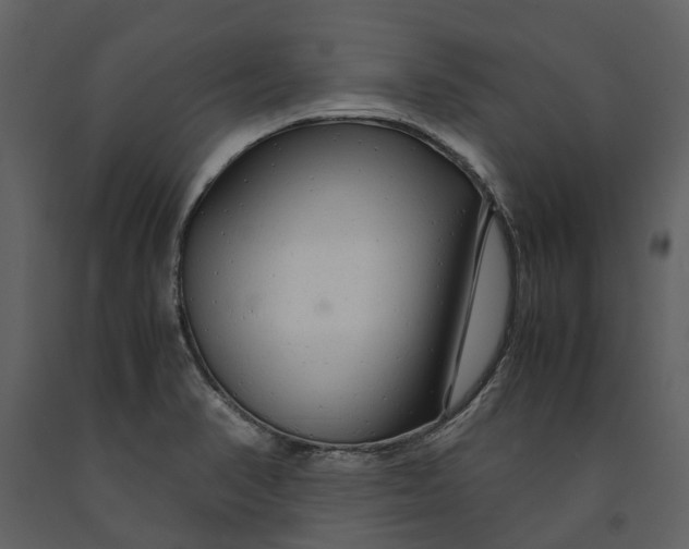 X0000090961374200708241143
