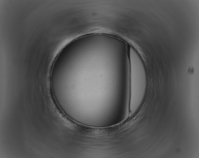 X0000090961375200708241143