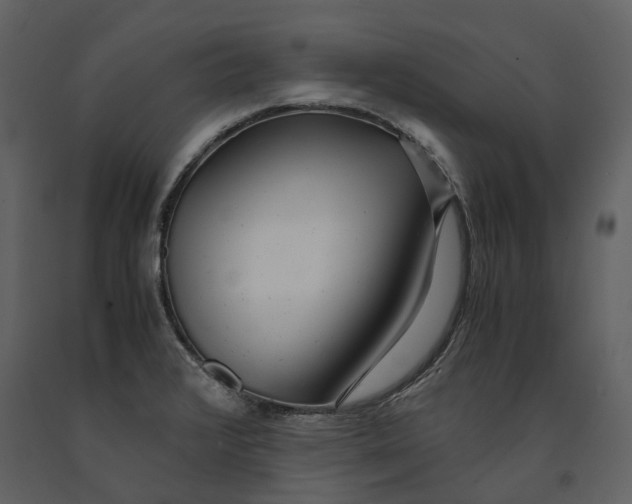 X0000090961376200708241142