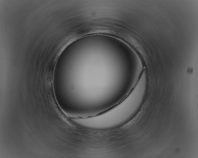 X0000090961377200708241142
