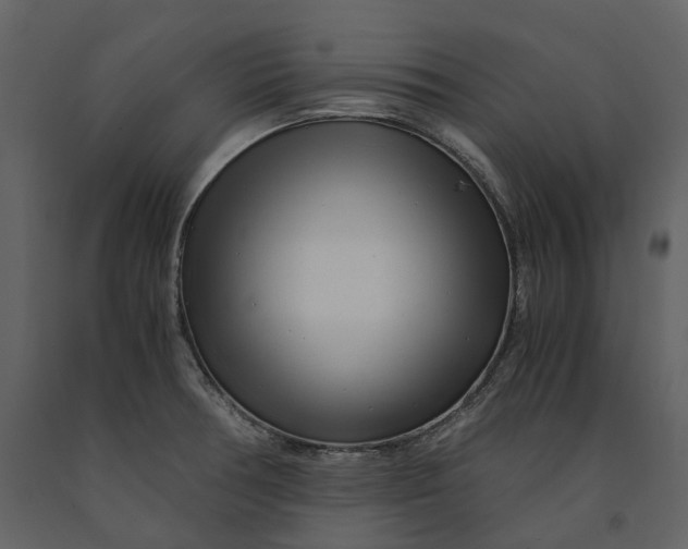 X0000090961378200708241142
