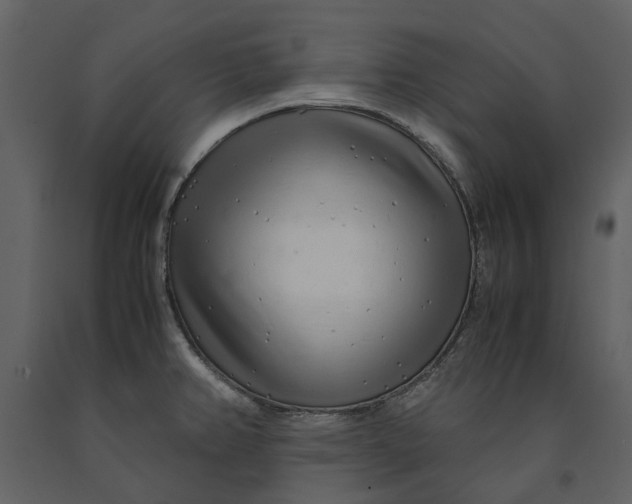 X0000090961382200708241142