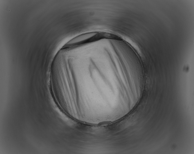 X0000090961383200708241142
