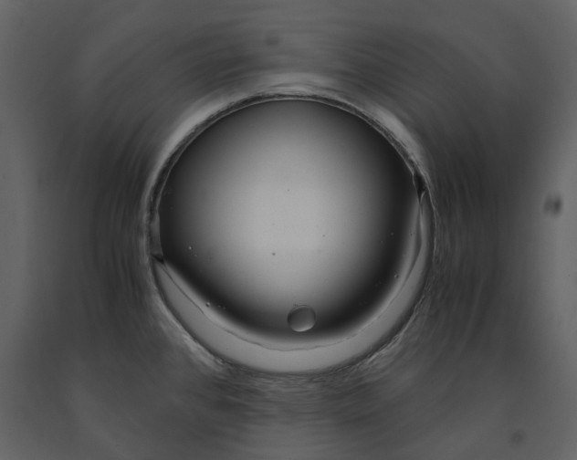 X0000090961384200708241142