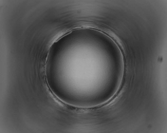 X0000090961385200708241142