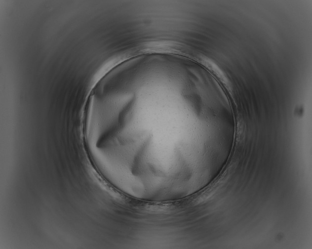 X0000090961386200708241142