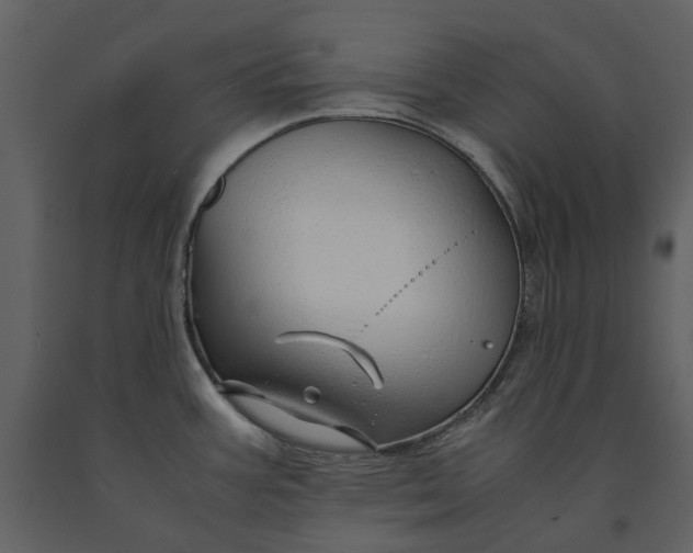 X0000090961387200708241142