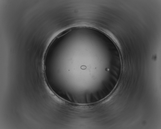 X0000090961388200708241142