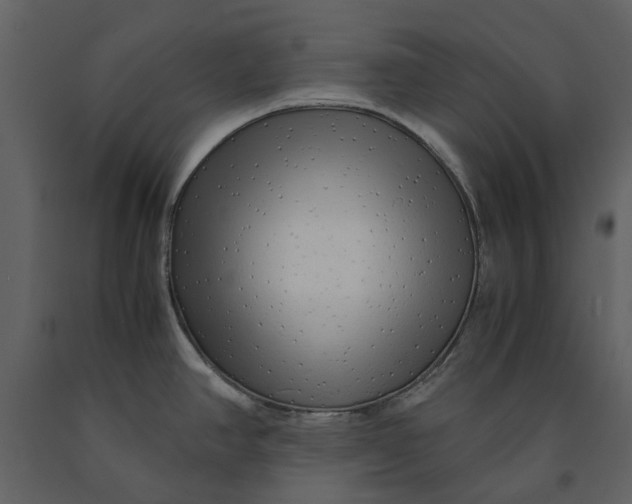 X0000090961390200708241142