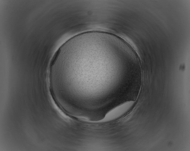 X0000090961391200708241142