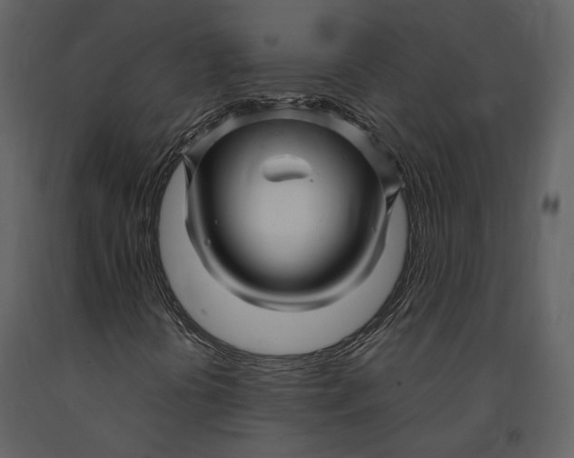 X0000090961394200708241142