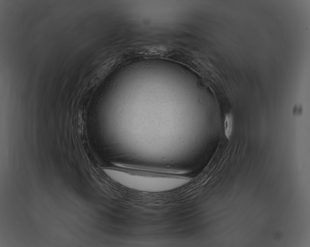 X0000090961395200708241142