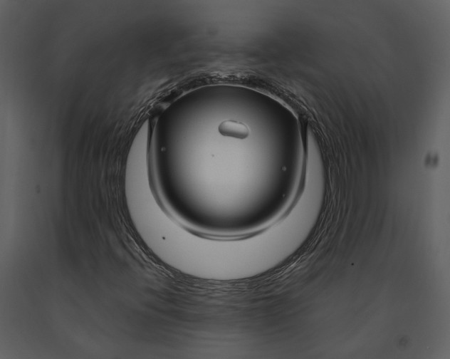 X0000090961396200708241142