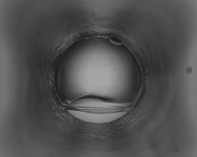 X0000090961397200708241142