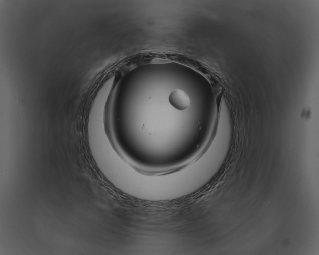 X0000090961398200708241142