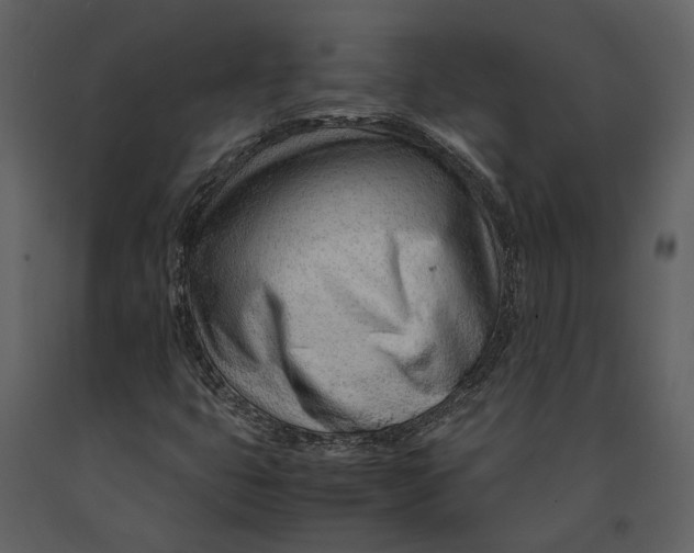 X0000090961399200708241142