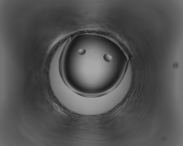 X0000090961400200708241142