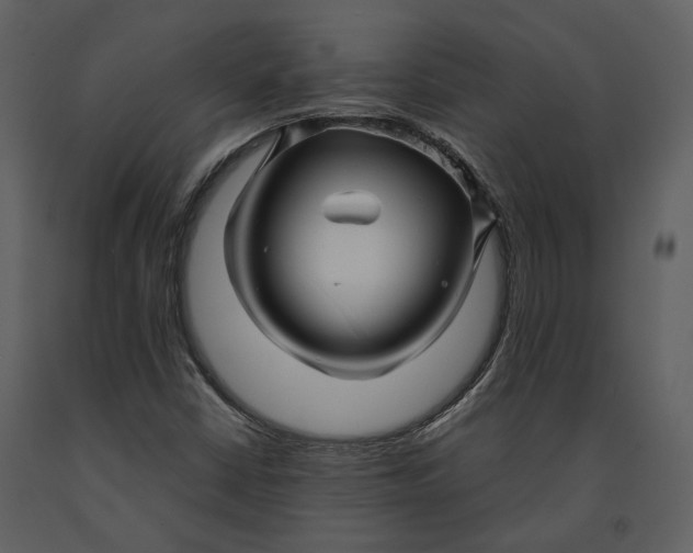X0000090961402200708241142