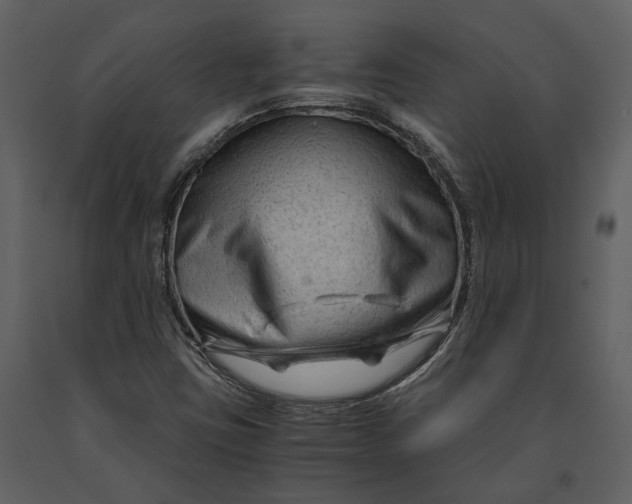 X0000090961403200708241142