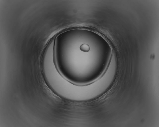 X0000090961404200708241142