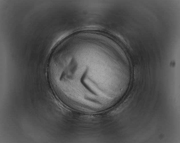 X0000090961405200708241142