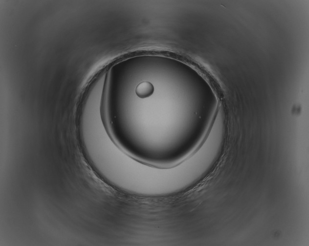 X0000090961408200708241142