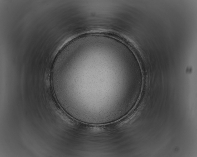 X0000090961409200708241142