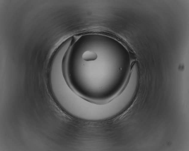 X0000090961410200708241142
