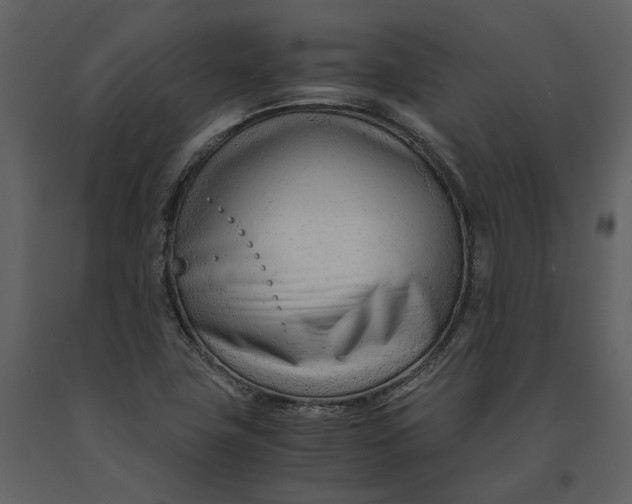 X0000090961411200708241142