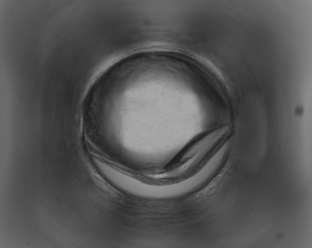 X0000090961413200708241142