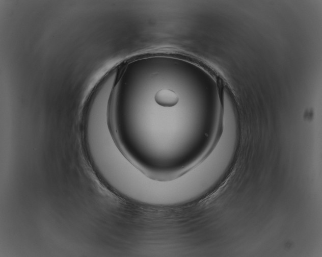 X0000090961414200708241142
