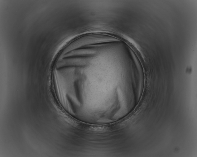 X0000090961415200708241142