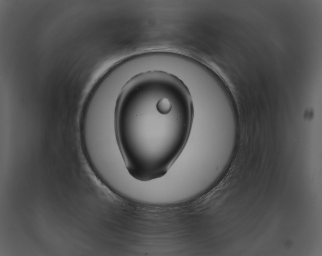 X0000090961416200708241142