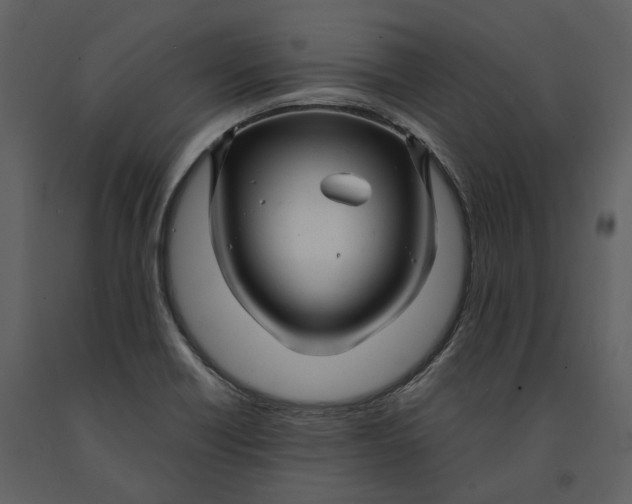 X0000090961418200708241142