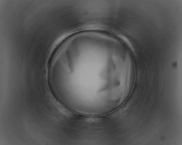 X0000090961419200708241142
