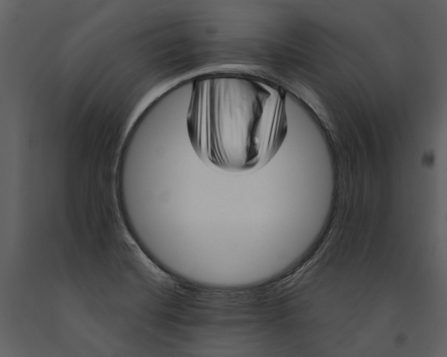 X0000090961420200708241142