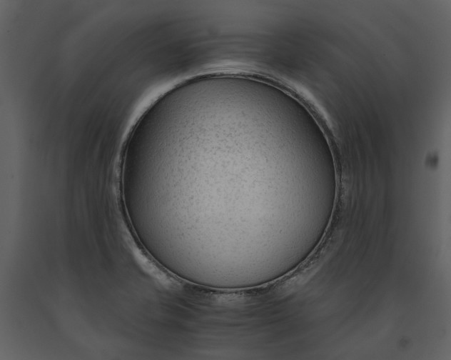 X0000090961421200708241142