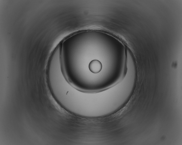 X0000090961422200708241142