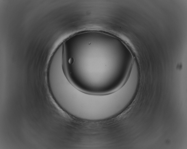 X0000090961424200708241142