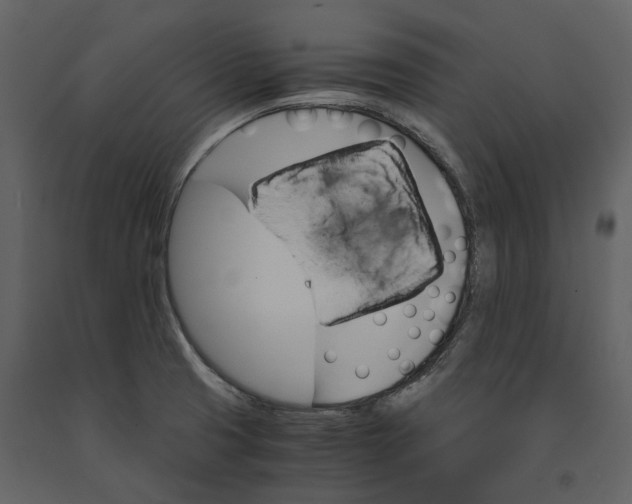 X0000090961425200708241142