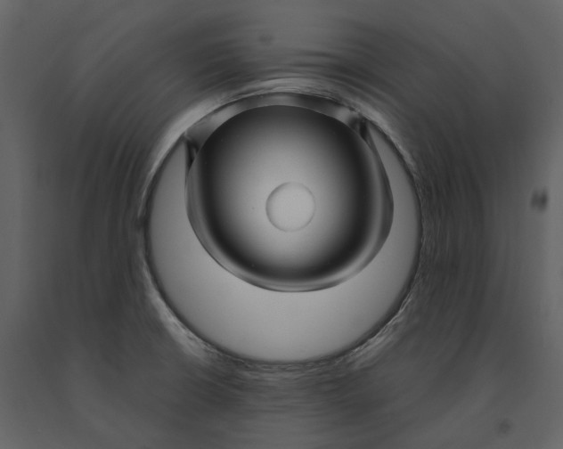 X0000090961426200708241142