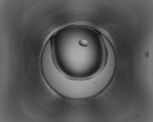 X0000090961428200708241142