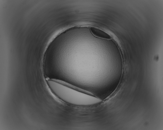 X0000090961429200708241142