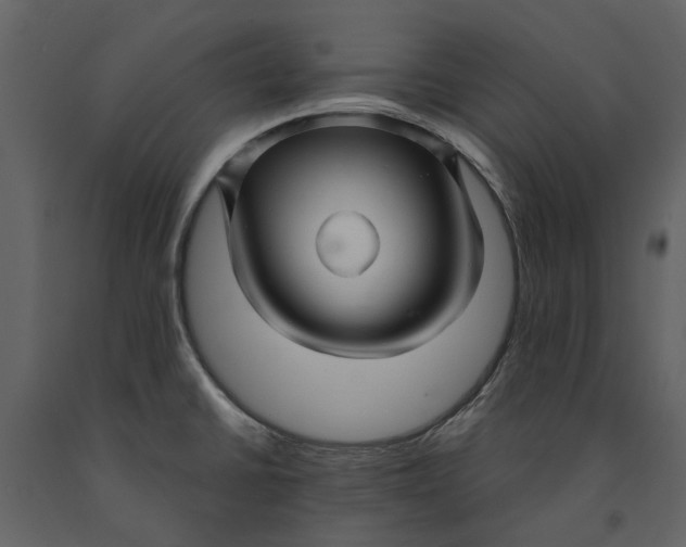 X0000090961430200708241142