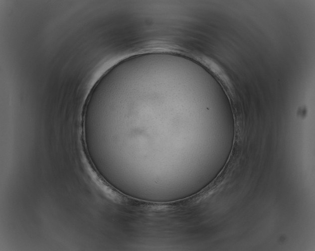 X0000090961431200708241142